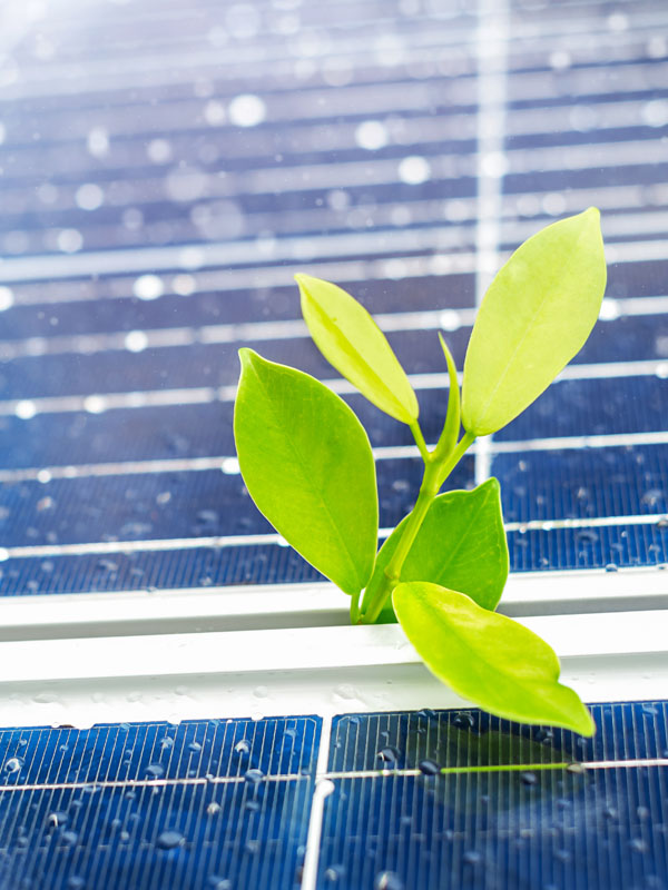 solar companies dallas solar companies dallas solar companies dallas solar companies Frisco solar companies Plano solar companies DFW solar companies Lewisville solar companies Southlake